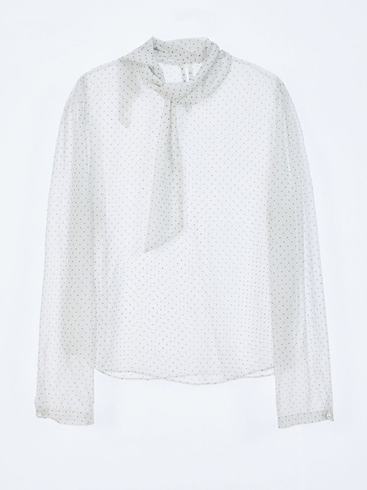 헤인트(HAINT) SEE-THROUGH DOT TIE BLOUSE