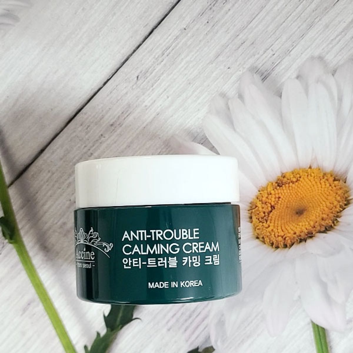 아씬(ACCINE) 안티 트러블 카밍 크림 55g