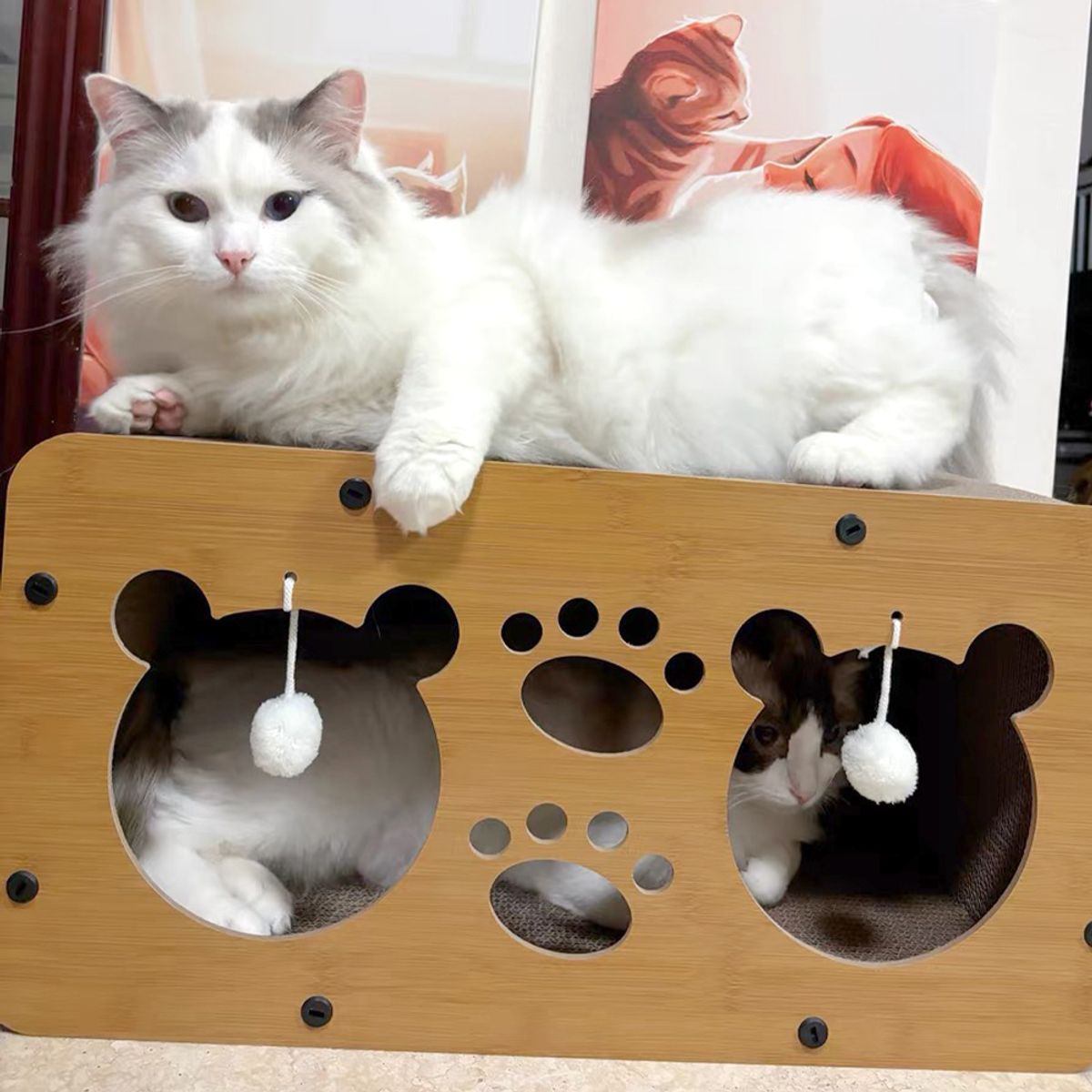 개과천선(GAEKWACHEONSUN) 어몽드 니쿠마 고양이 스크래쳐 원목 하우스