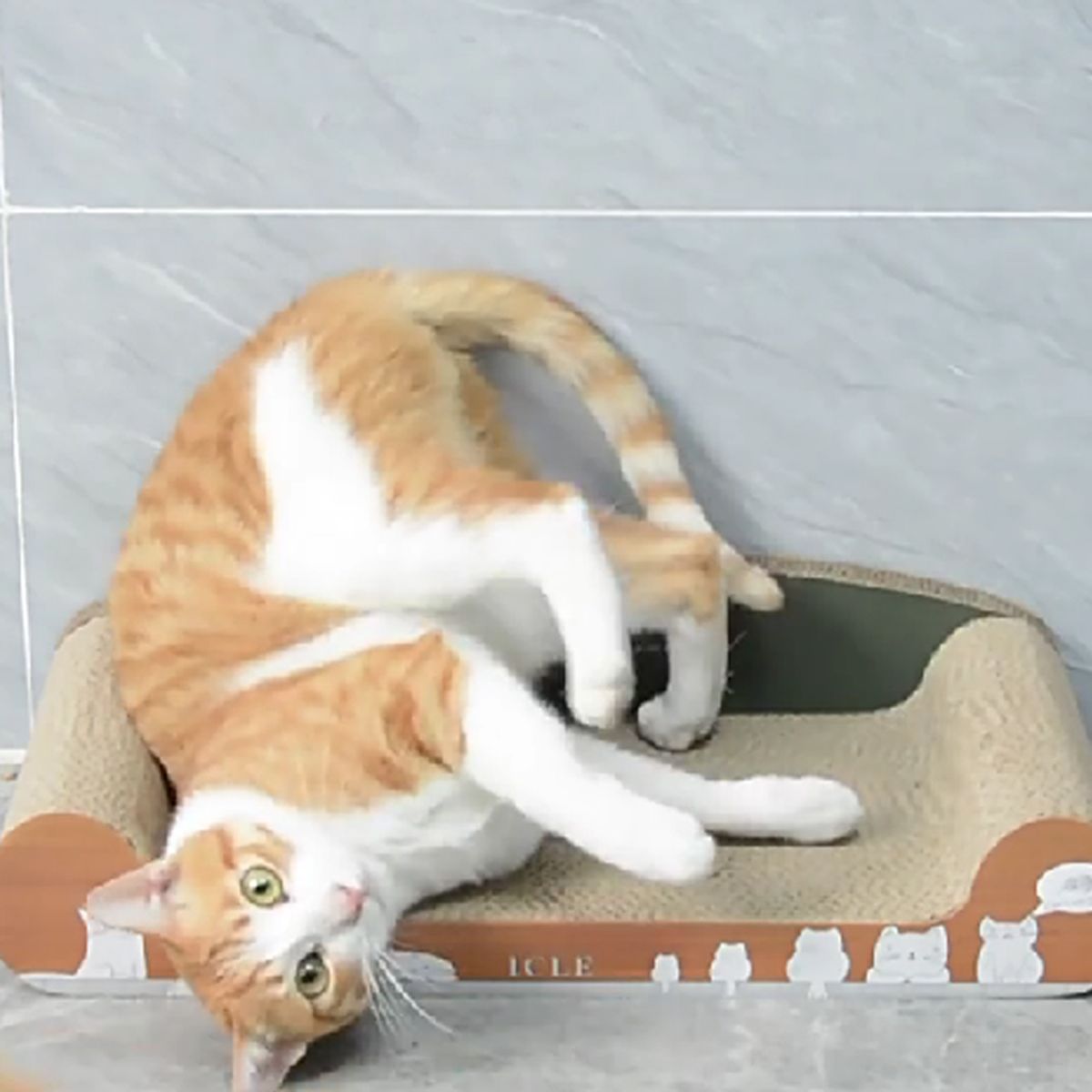 개과천선(GAEKWACHEONSUN) 어몽드 큐어 고양이 소파 스크래쳐