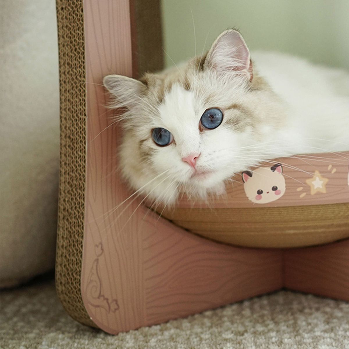 개과천선(GAEKWACHEONSUN) 어몽드 키큐트 고양이 스크래쳐 2단