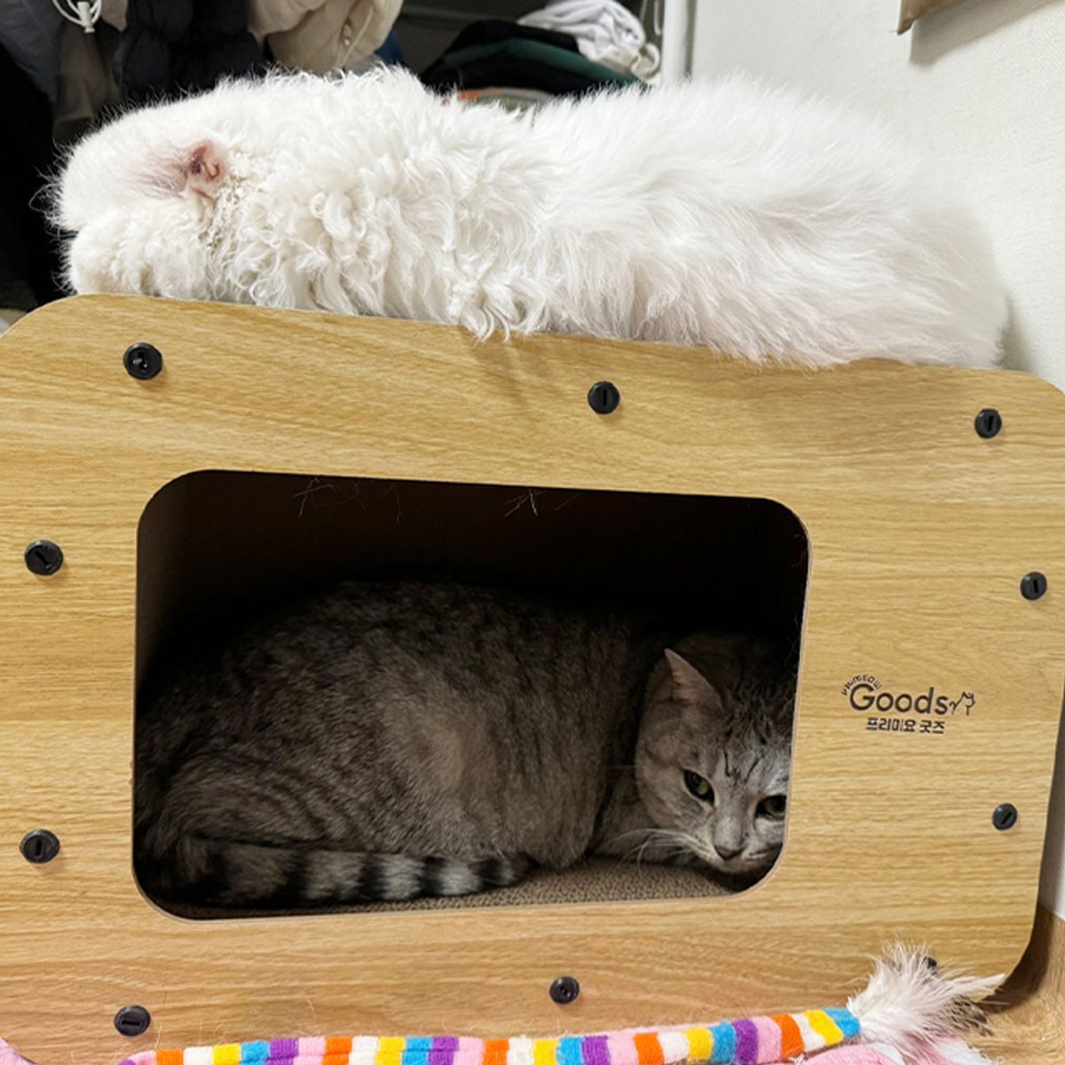 개과천선(GAEKWACHEONSUN) 프로덕트 티비 고양이 스크래쳐 하우스 캣닢 포함