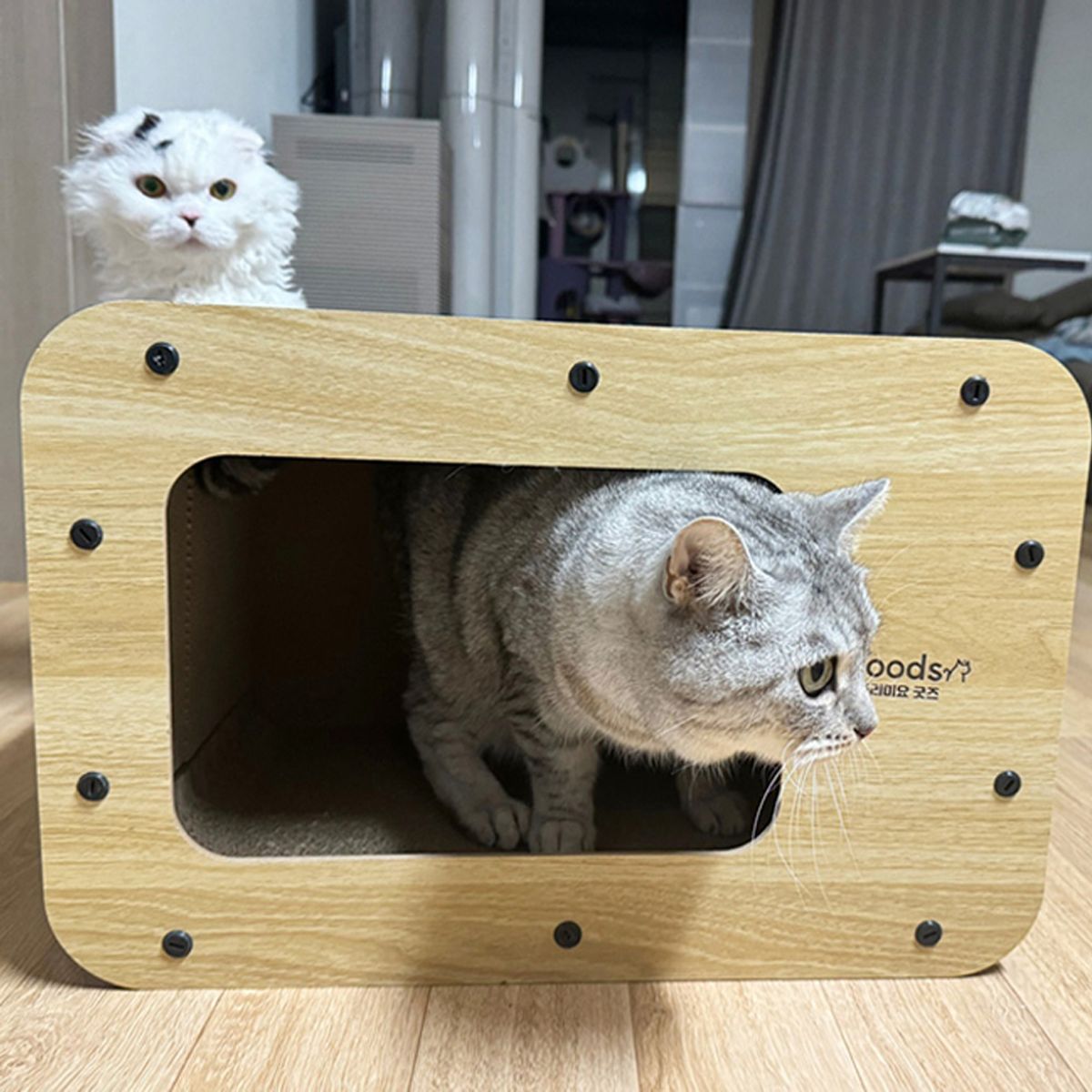 개과천선(GAEKWACHEONSUN) 프로덕트 티비 고양이 스크래쳐 하우스 캣닢 포함