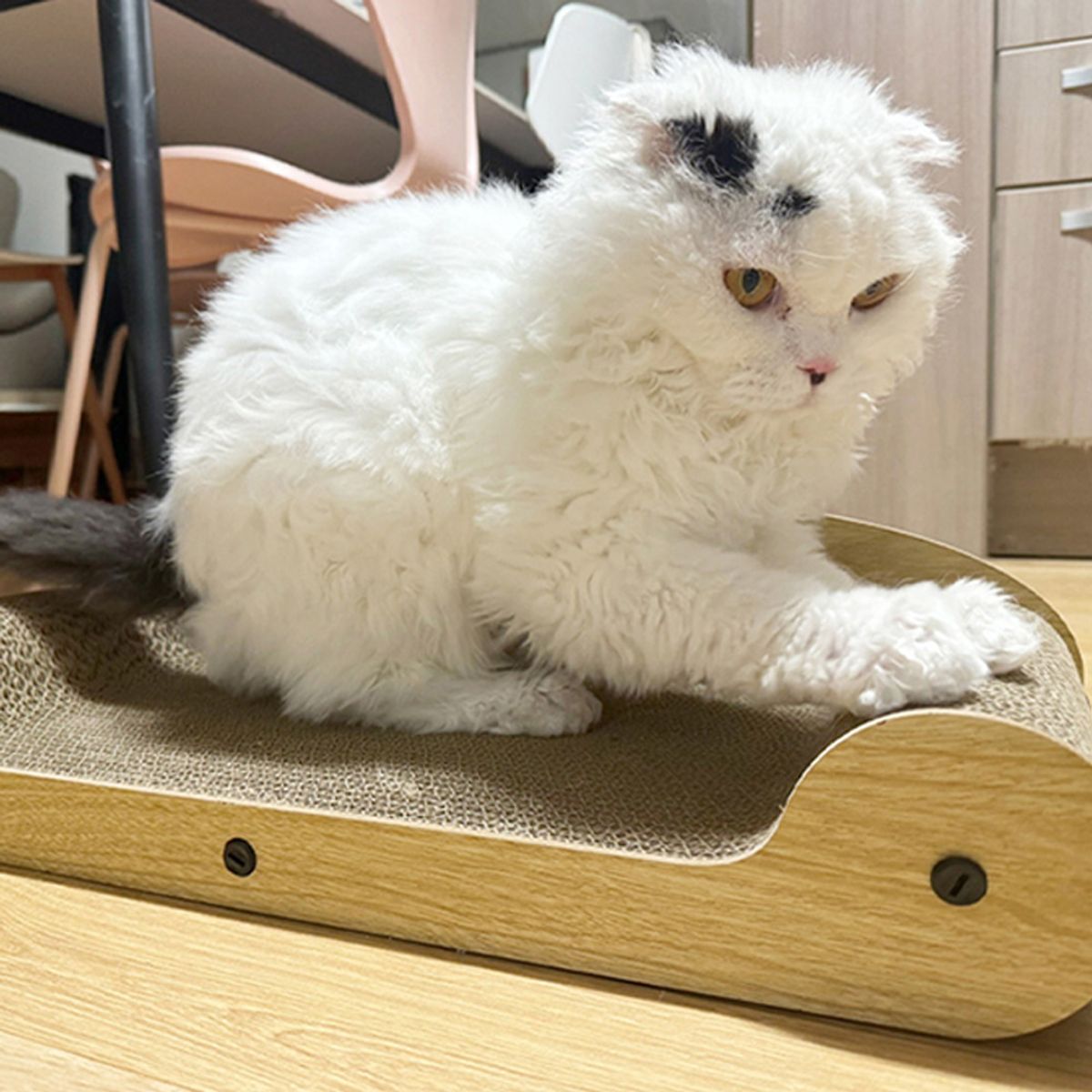 개과천선(GAEKWACHEONSUN) 프로덕트 고양이 소파 스크래쳐 캣닢 포함