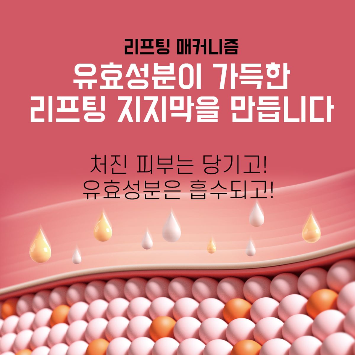 디에이구구(DA99) 녹는실 리프팅 앰플 1Pack(4병)