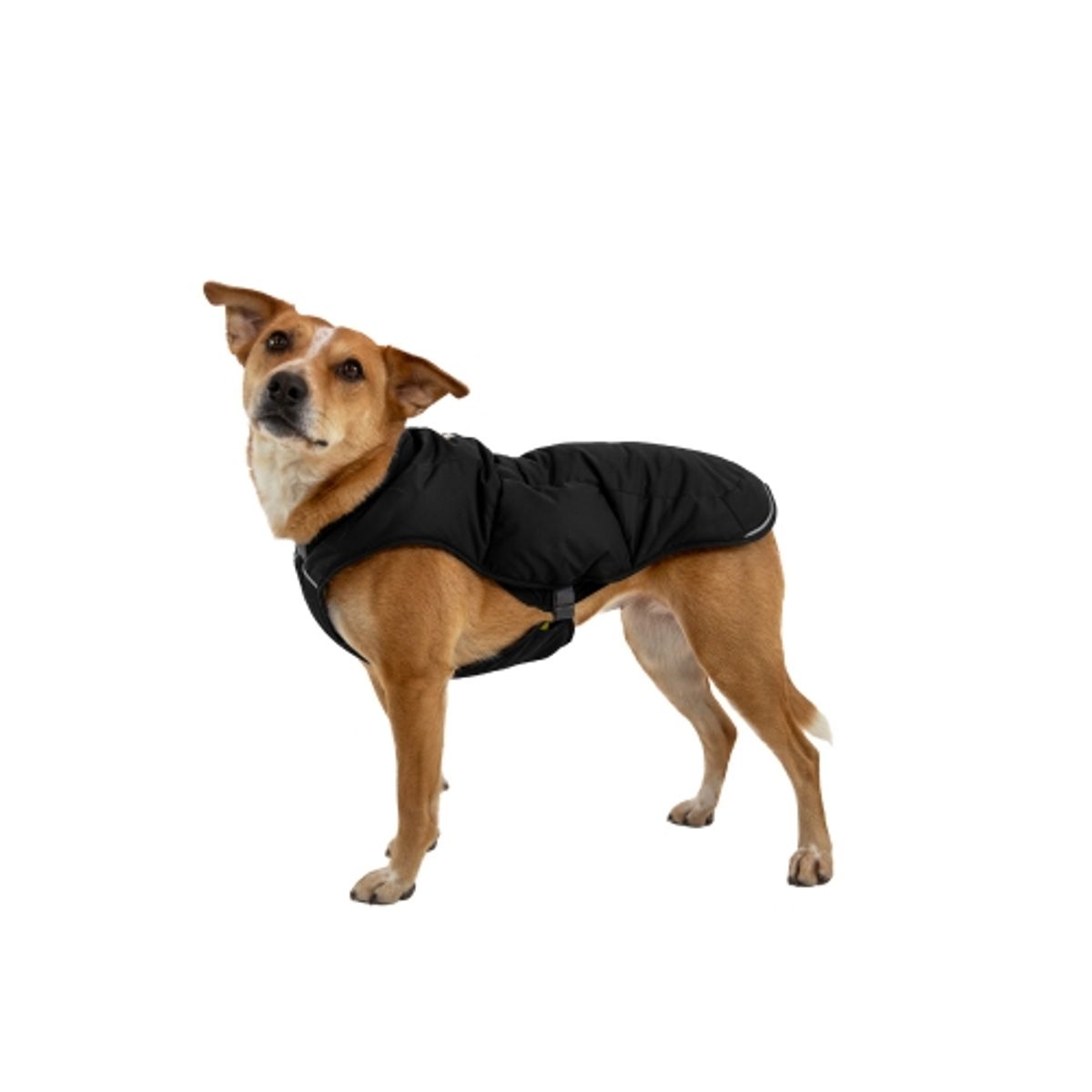 러프웨어(RUFFWEAR) 퀸지 보온 패딩자켓(Quinzee™ Jacket)