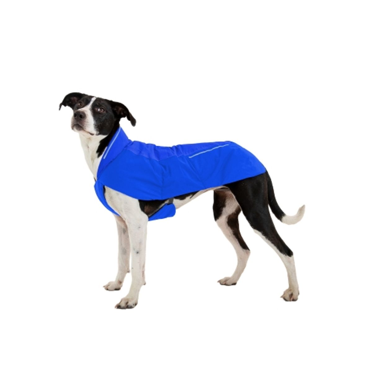 러프웨어(RUFFWEAR) 버트 방수 방풍 보온 재킷(Vert™ Jacket )