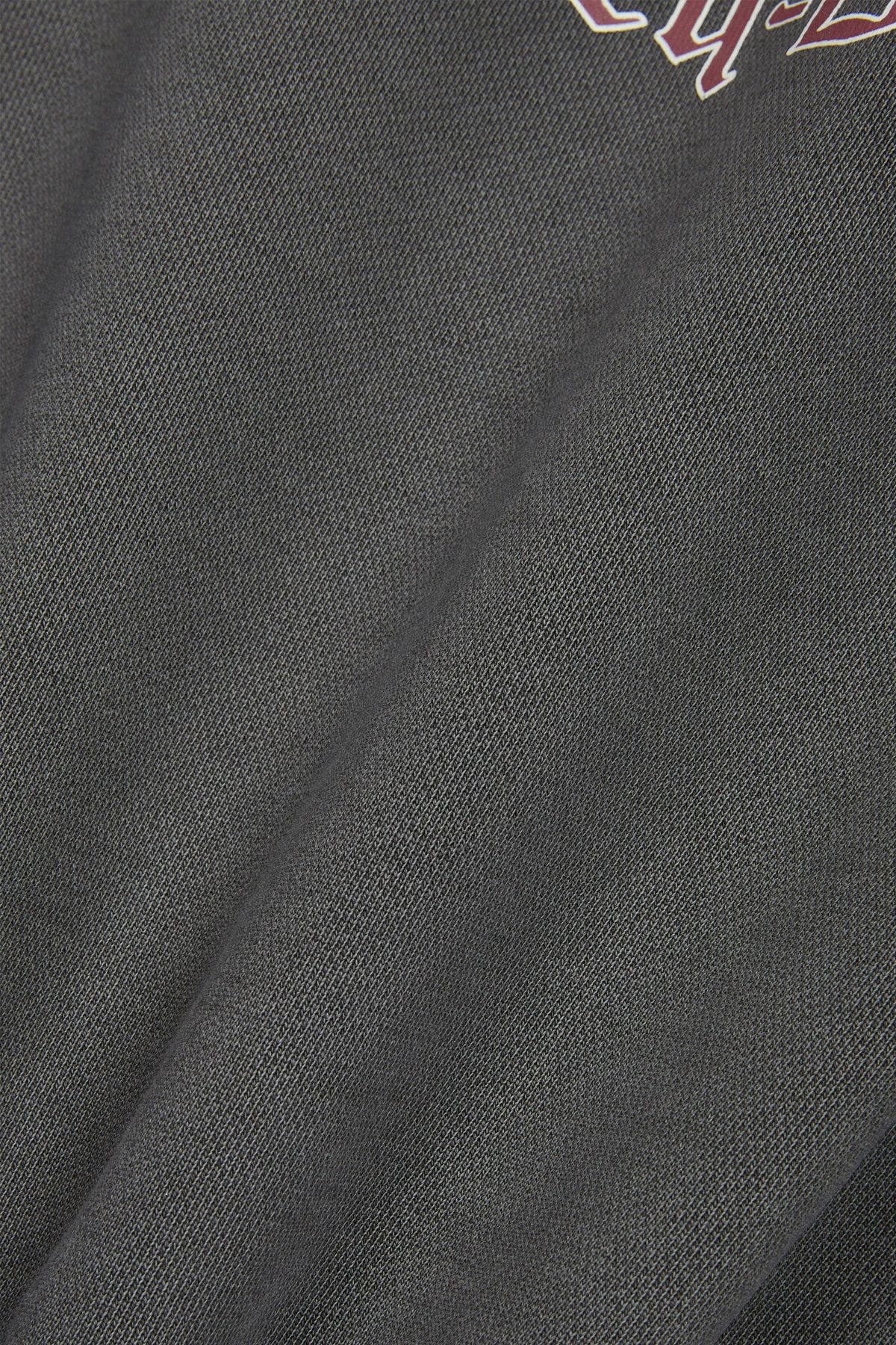 할리데이비슨 컬렉션스®(HARLEY-DAVIDSON COLLECTIONS®) 피그먼트 다잉 투 휠즈 후디 챠콜 HH14311209