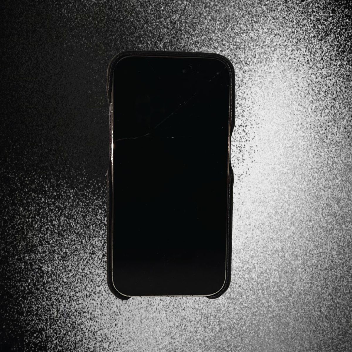 블레임 스튜디오(BLAMESTUDIO) Zipper Logo Leather Black Case