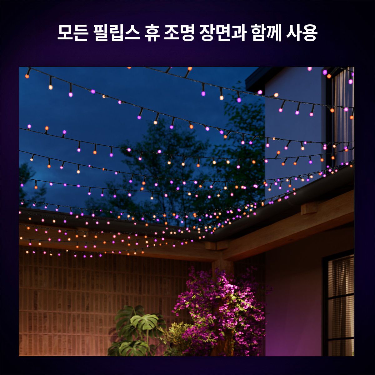 필립스 휴(PHILIPS HUE) 휴 화이트&컬러 페스타비아 스트링 트리조명 20m