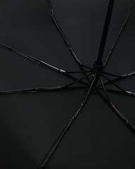 Thumbnail 17