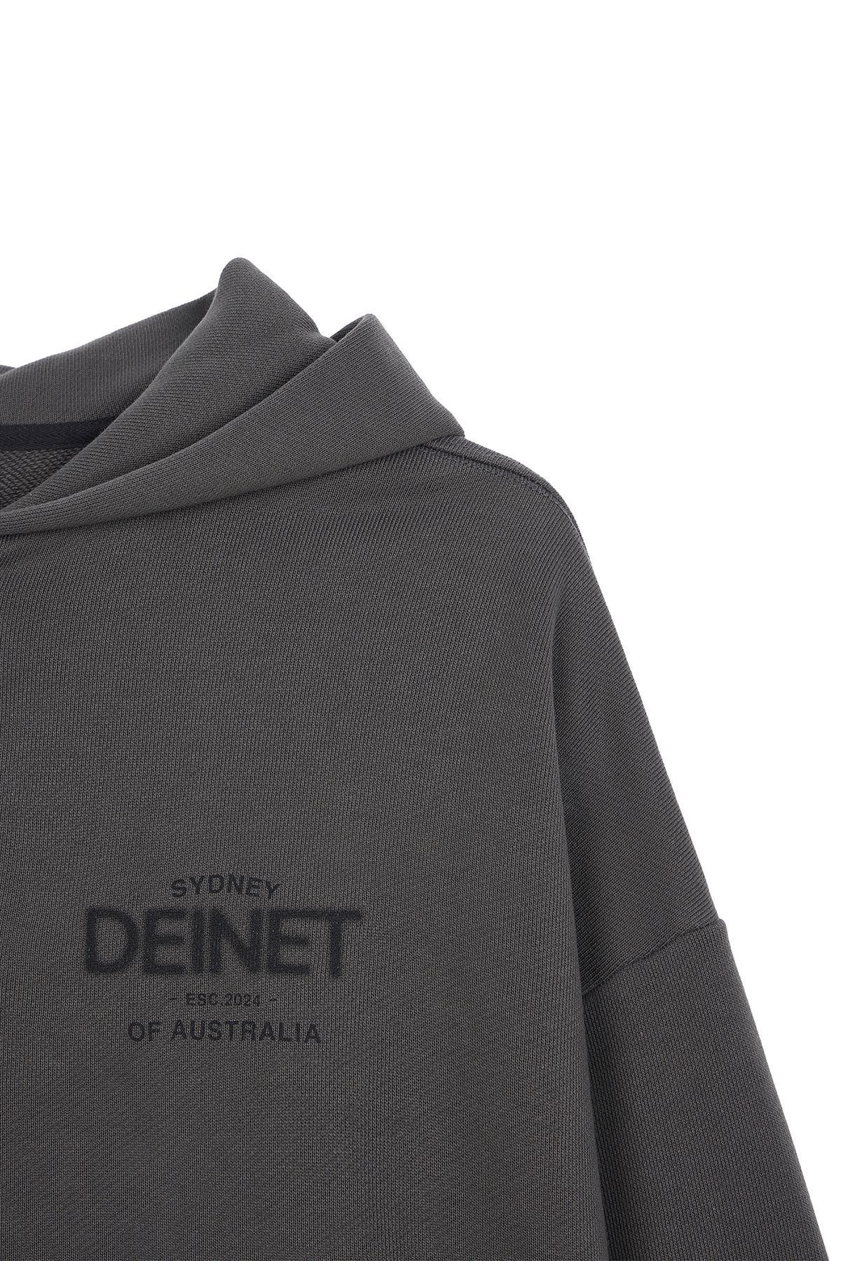 다이닛(DEINET) LOST IN SYDNEY ZIP-UP HOODIE IN CHARCOAL