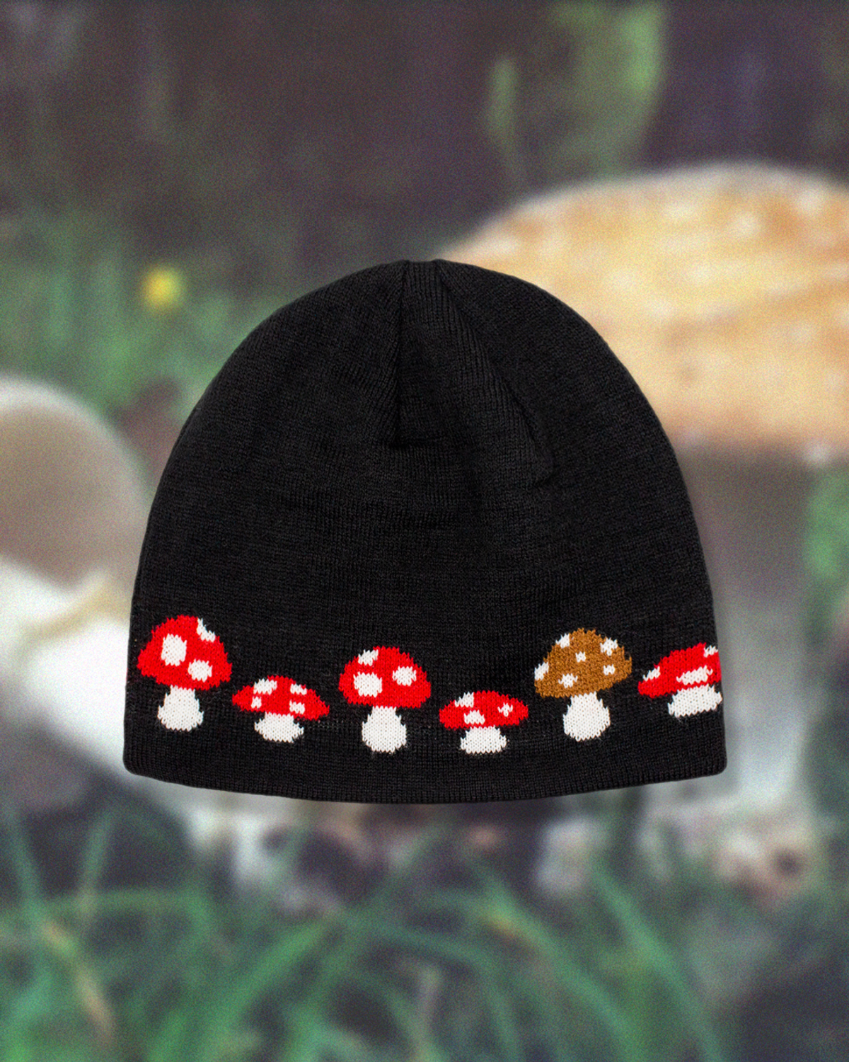 미디엄스(MEDIUMS) Line Mushroom Beanie (라인 머쉬룸 비니)