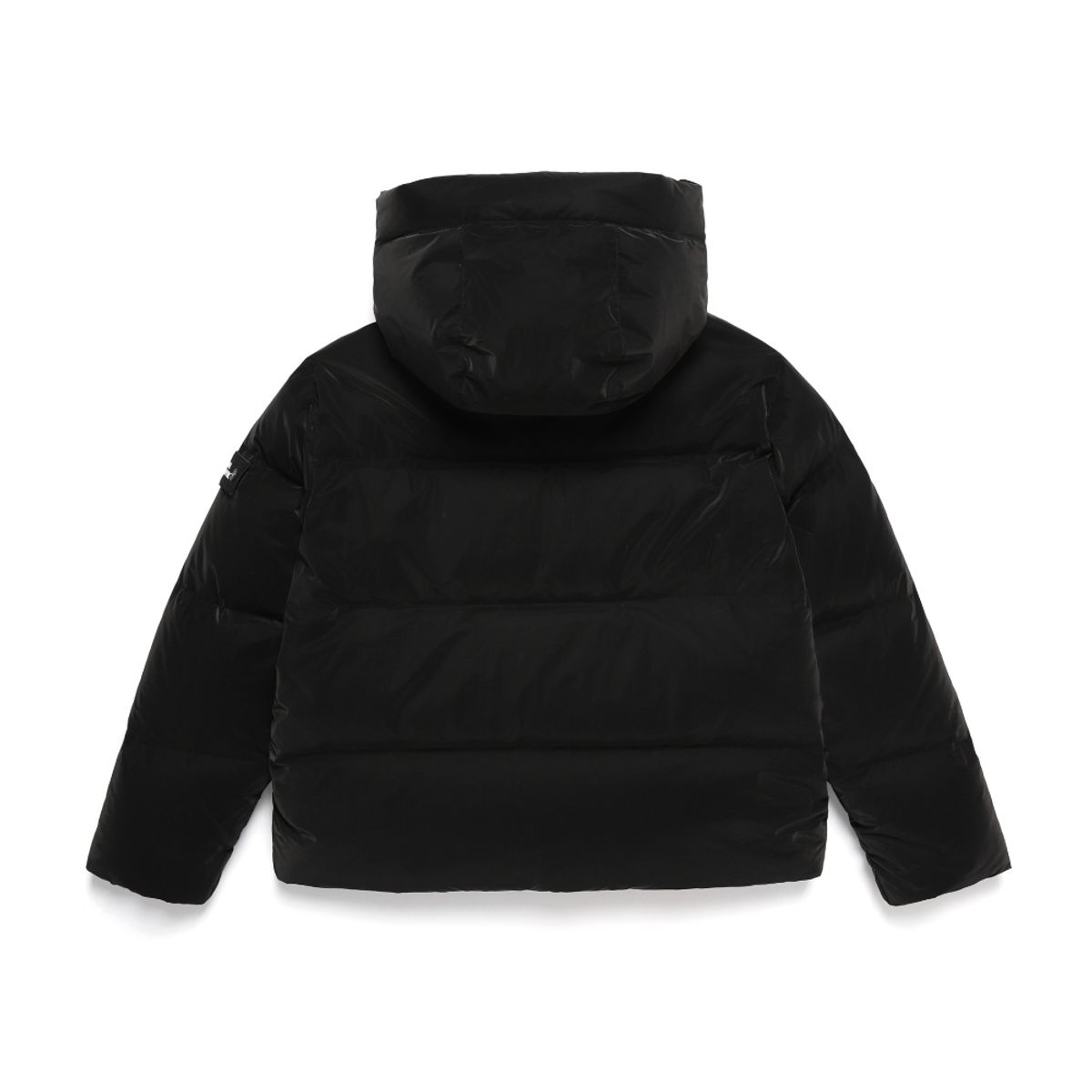 내셔널지오그래픽(NATIONALGEOGRAPHIC) N244UDW980 글로시 숏기장 후디 다운 점퍼 CARBON BLACK