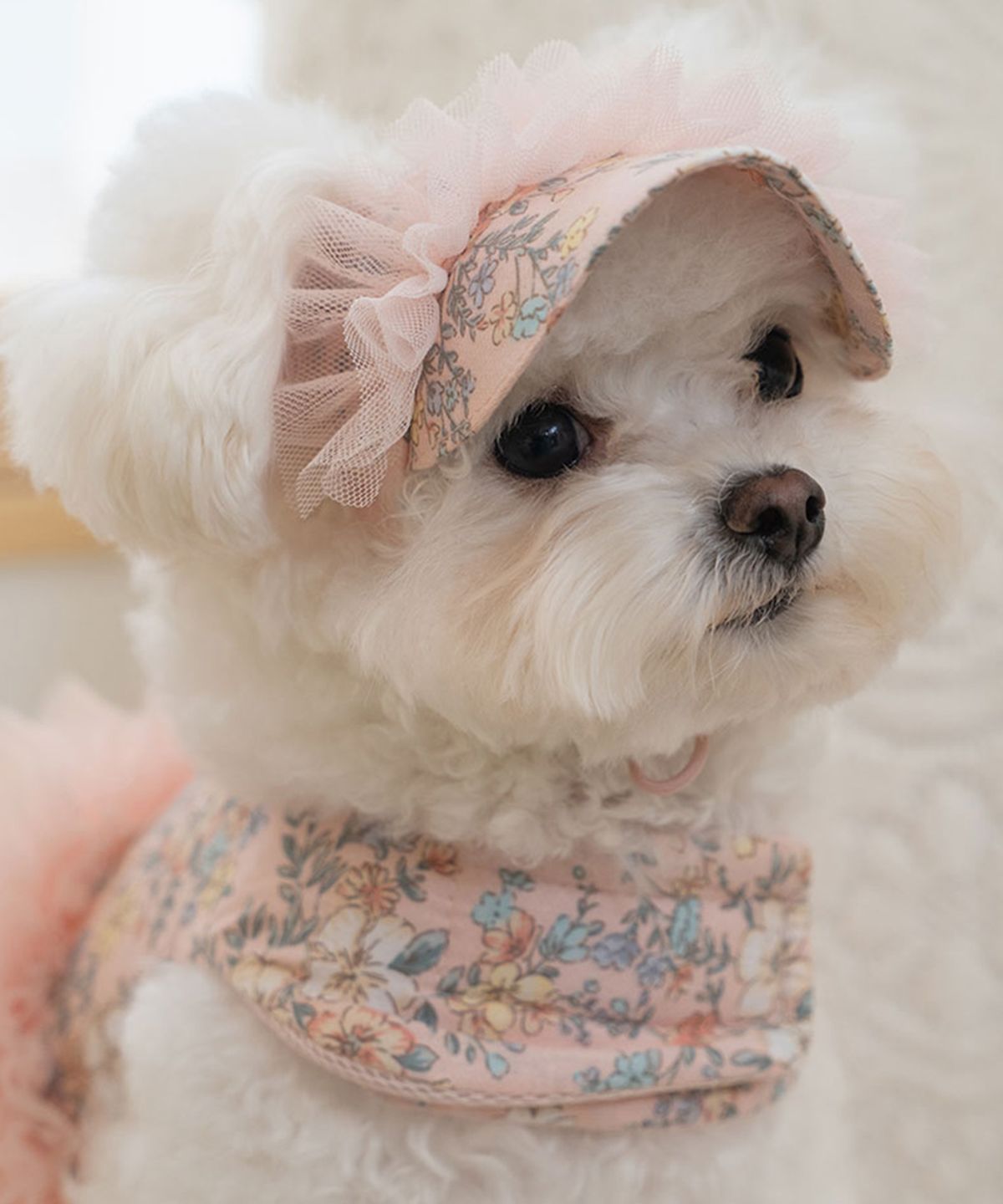 베일리(BAILEY) 강아지모자 에블린 플라워 썬캡 핑크