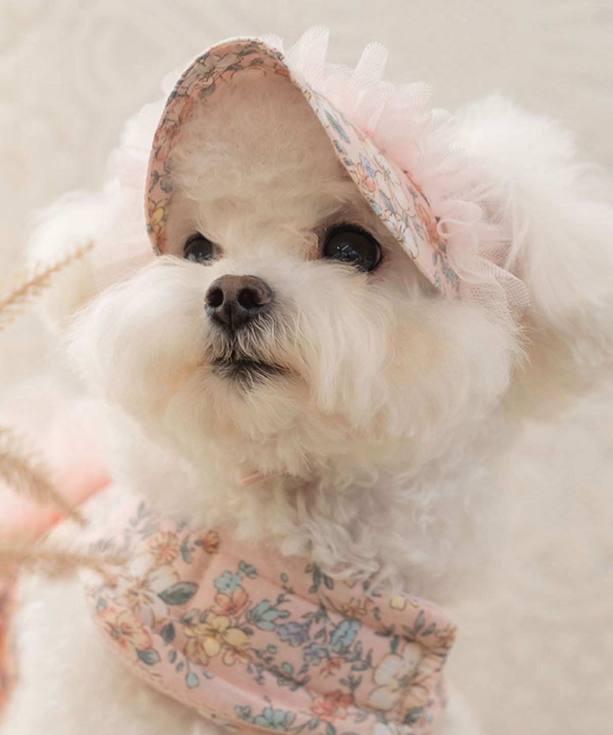 베일리(BAILEY) 강아지모자 에블린 플라워 썬캡 핑크