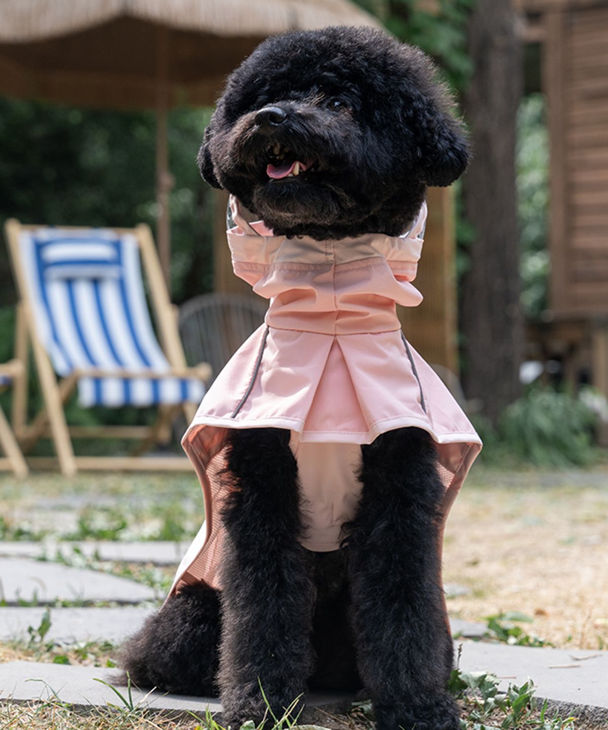 베일리(BAILEY) 강아지 아웃도어 레인코트 S-5XL 피치