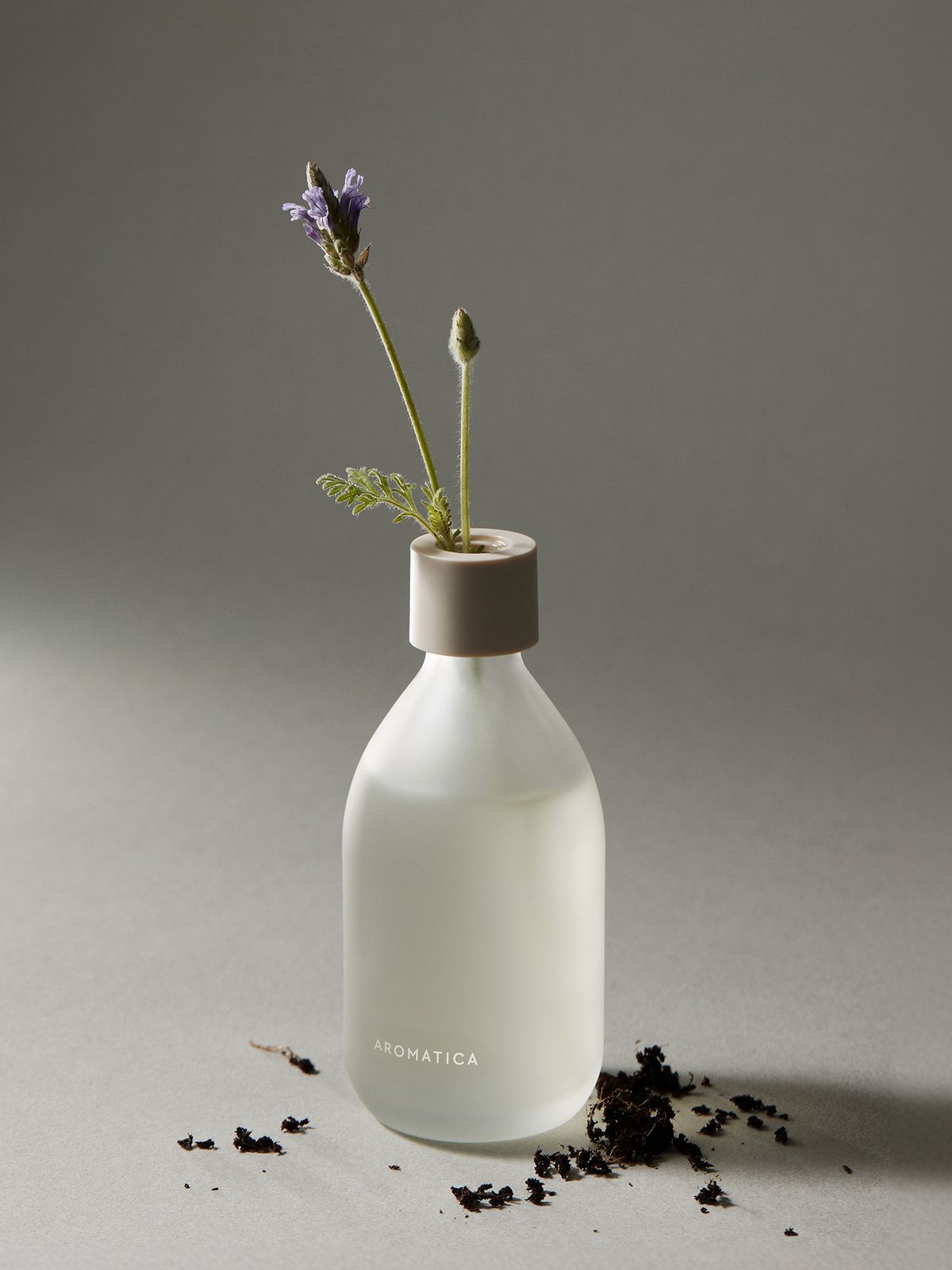 아로마티카(AROMATICA) 리드 디퓨저 100ML (2종 중 택1)