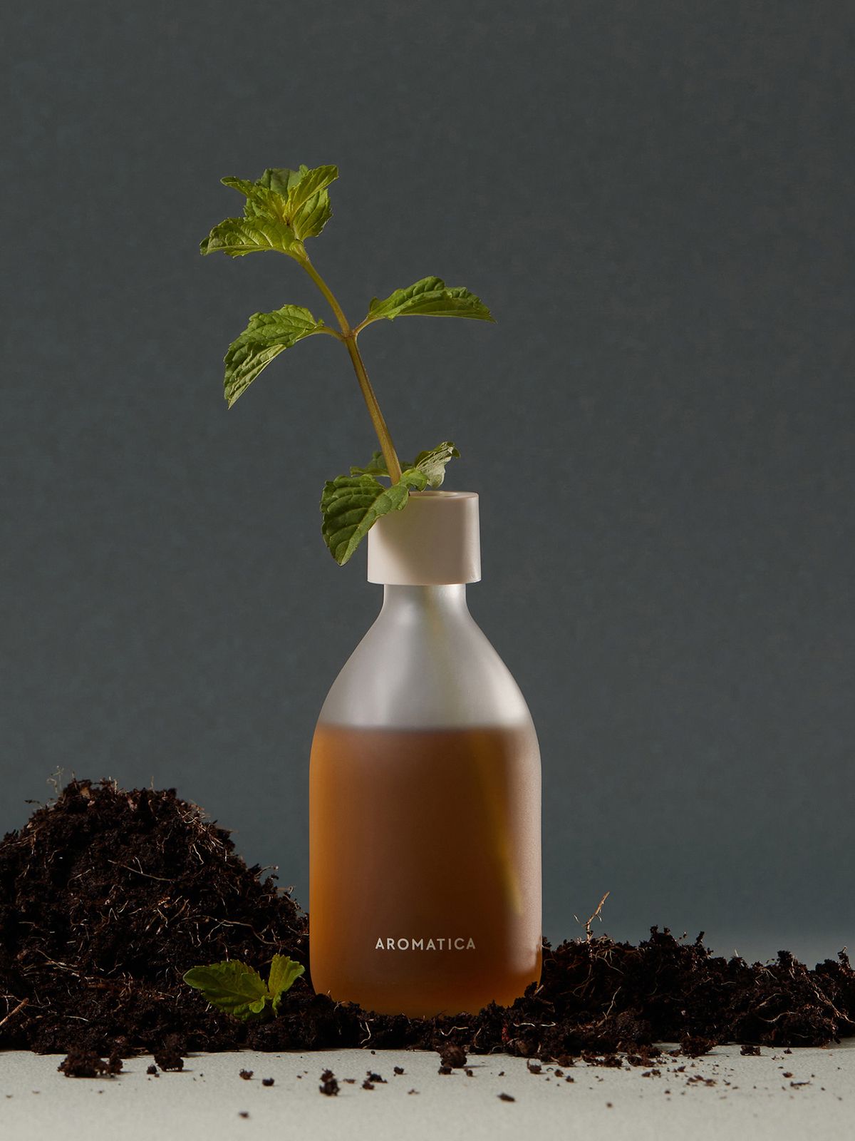 아로마티카(AROMATICA) 리드 디퓨저 100ML (2종 중 택1)