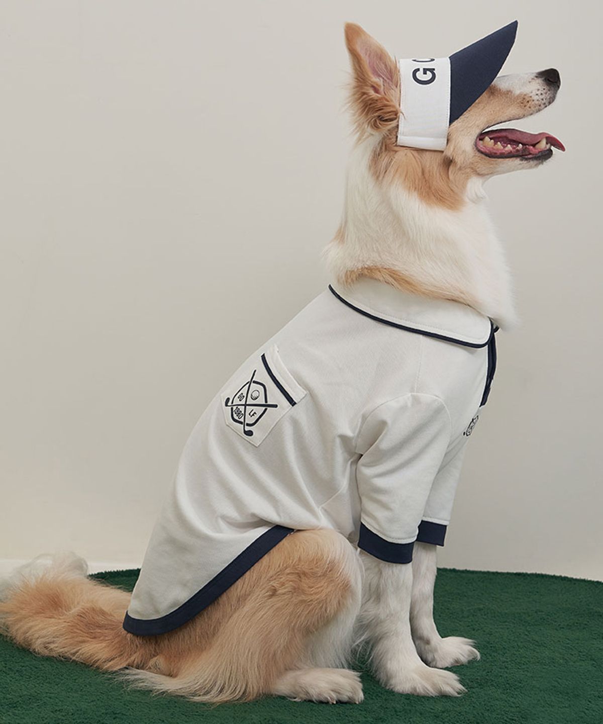 베일리(BAILEY) 강아지 향균 골프포켓티 네이비