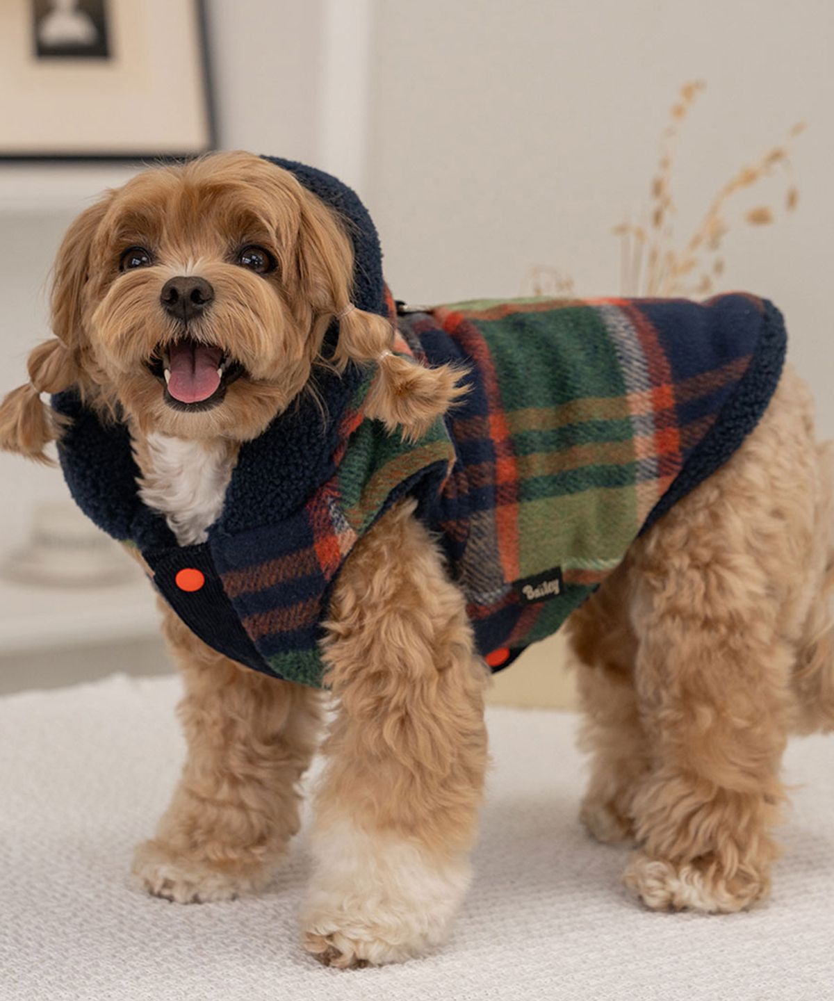 베일리(BAILEY) 강아지 시티팝 양면후디 아우터