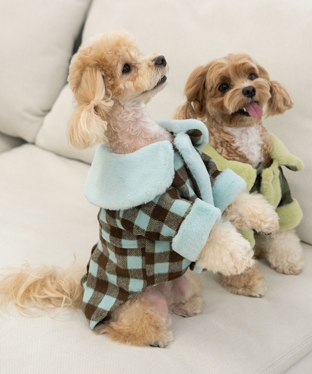 베일리(BAILEY) 강아지 하네스옷 체크퍼코트 스카이브라운