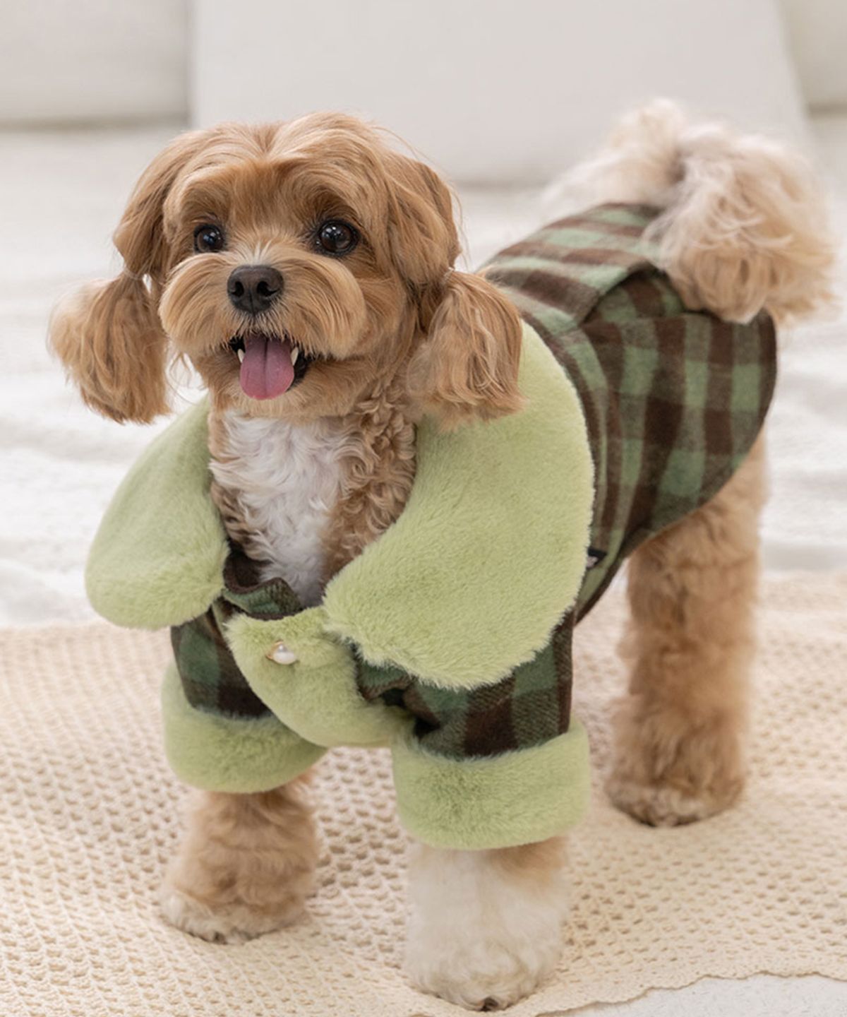 베일리(BAILEY) 강아지 하네스옷 체크퍼코트 올리브브라운