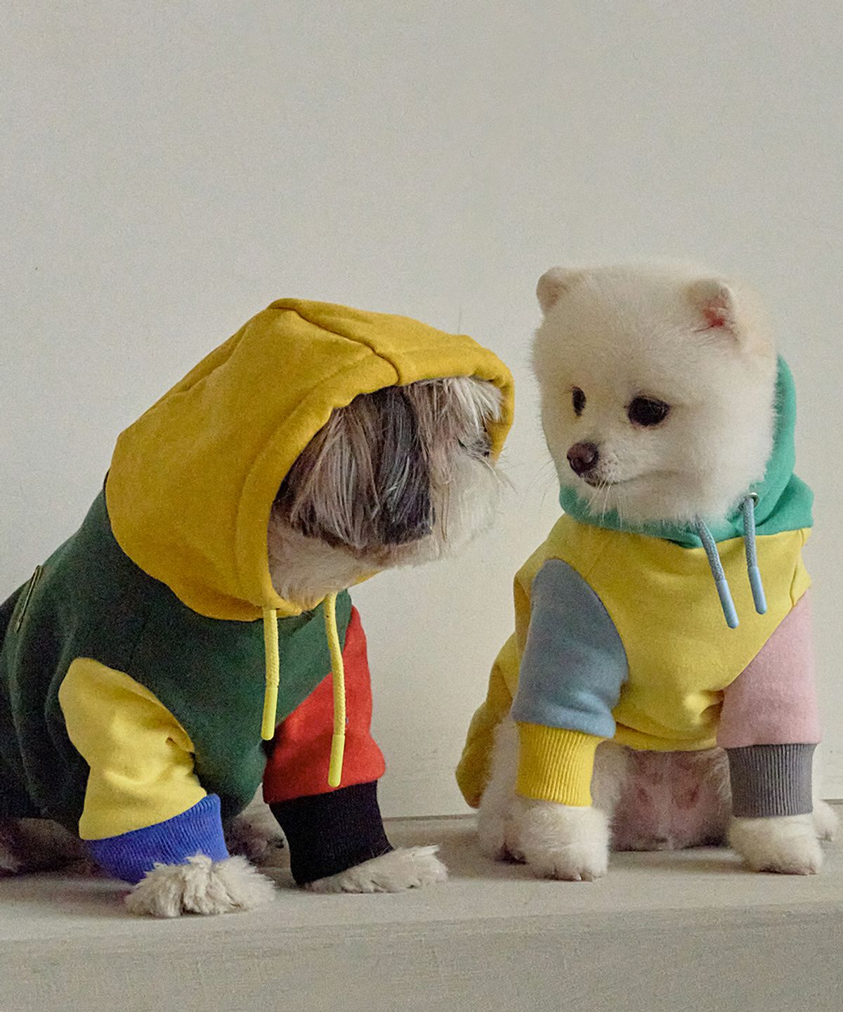 슈퍼펫(SUPERPET) 강아지 기모 컬러풀 후드티셔츠 S-5XL 옐로우