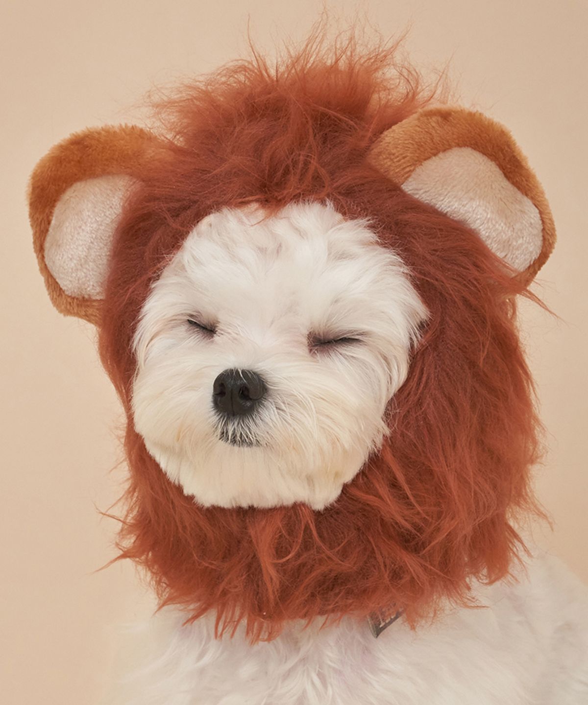 도그아이(DOGI) 강아지 코스튬 라이언 모자