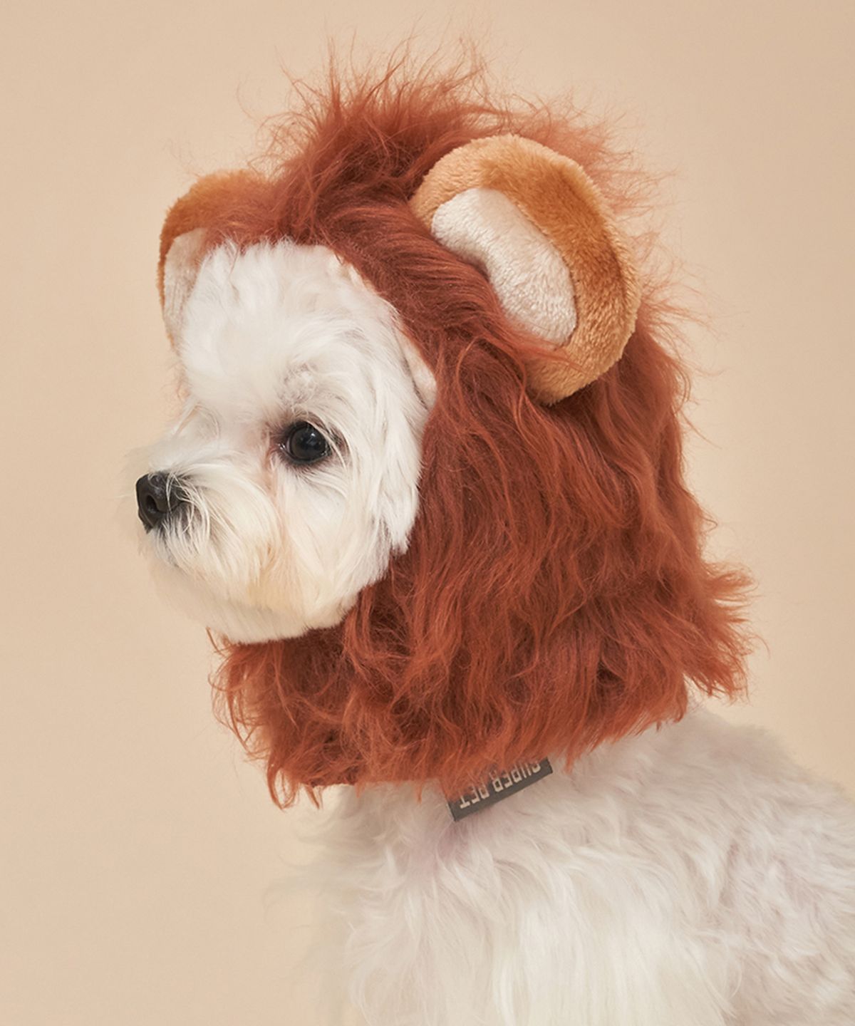 도그아이(DOGI) 강아지 코스튬 라이언 모자