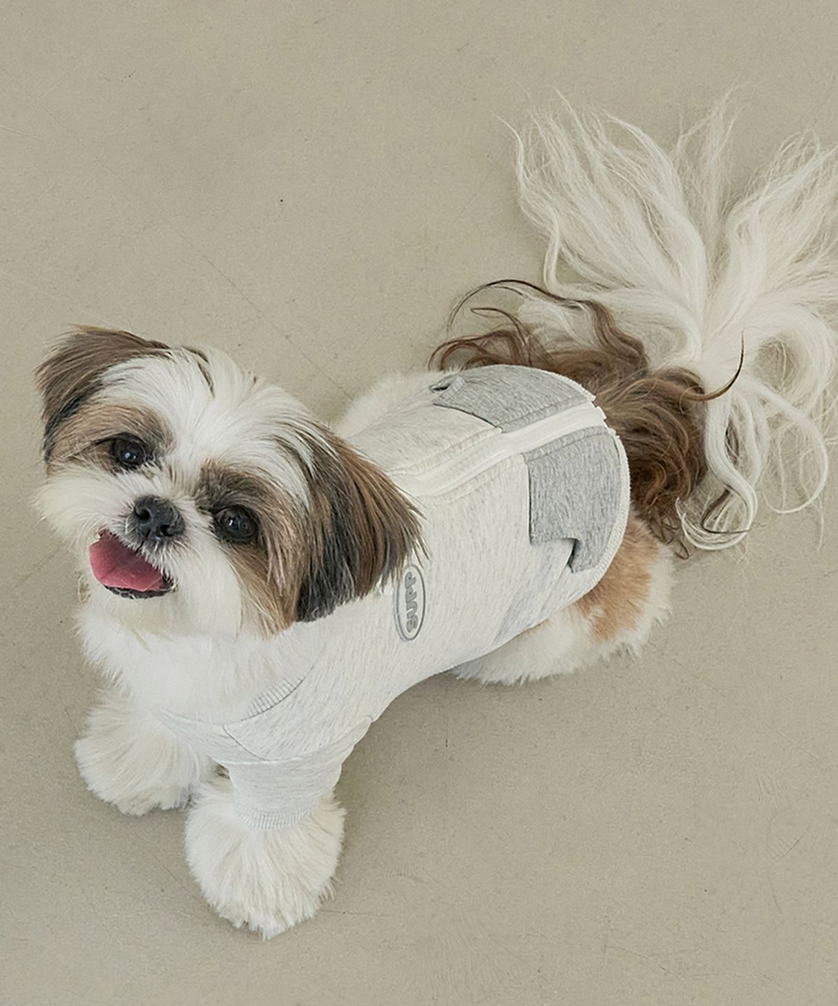도그아이(DOGI) 강아지 쭈리포켓티 S-5XL 그레이
