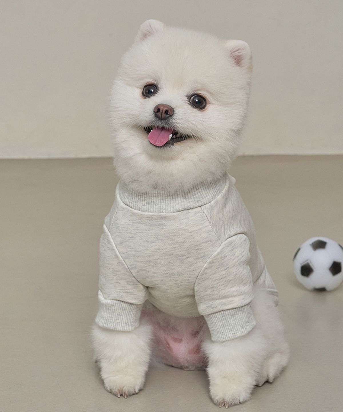 도그아이(DOGI) 강아지 쭈리포켓티 S-5XL 그레이