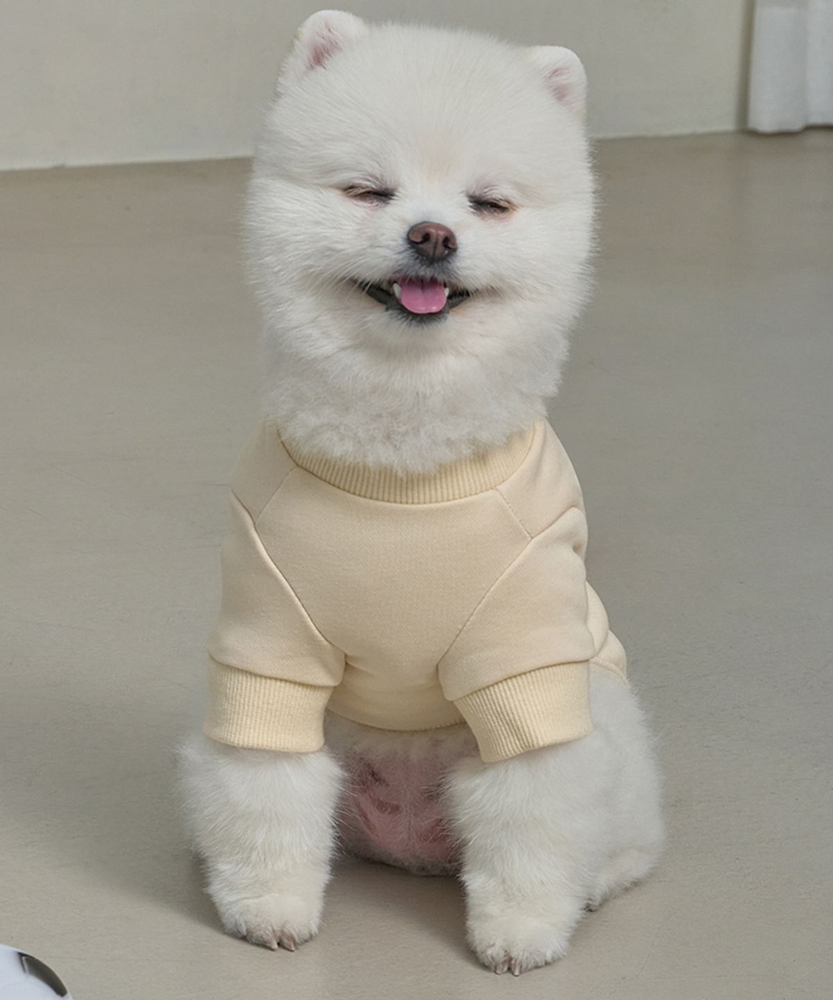 도그아이(DOGI) 강아지 쭈리포켓티 S-5XL 베이지