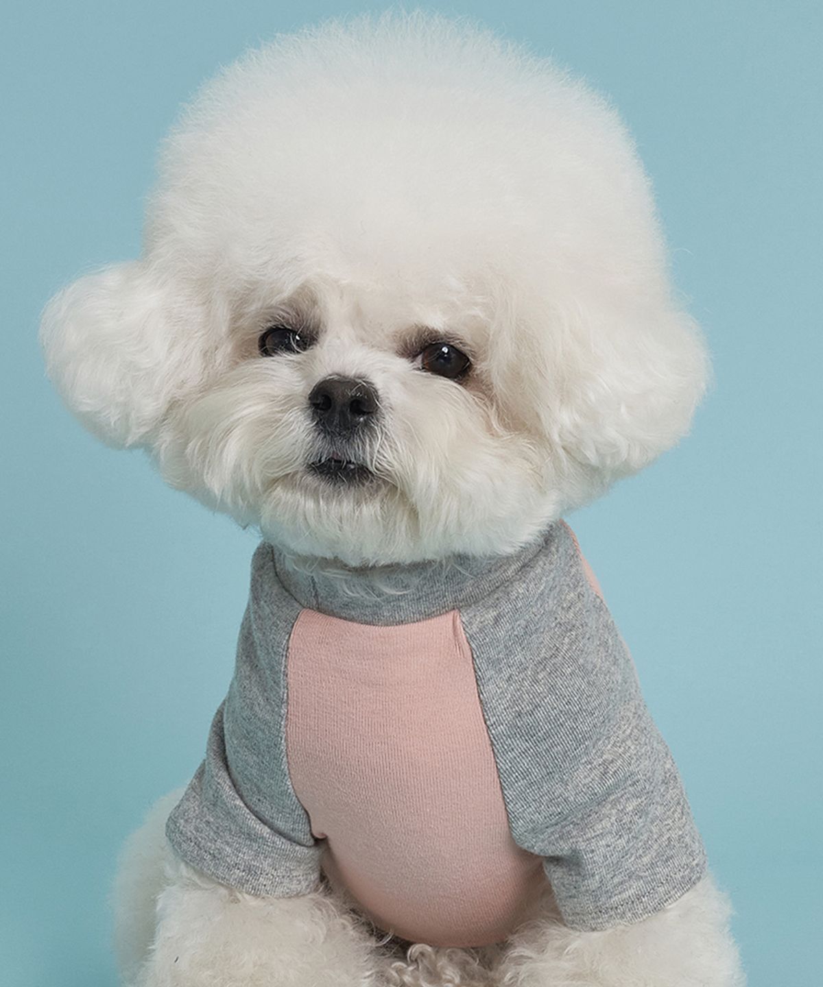 도그아이(DOGI) 강아지 실내복 나그랑 티셔츠 S-5XL 핑크