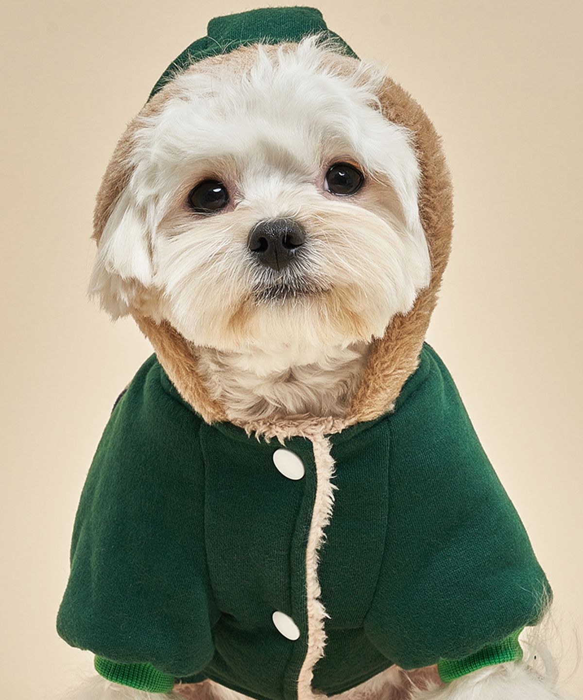 도그아이(DOGI) 강아지 골덴 올인원 녹색