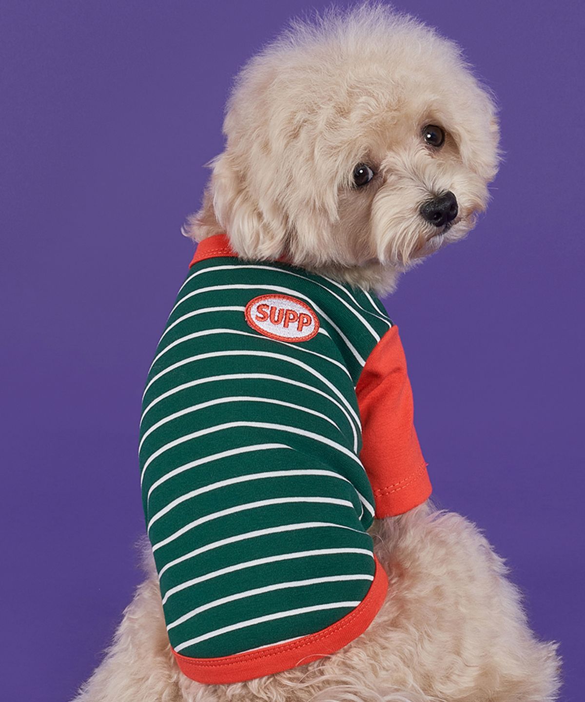 도그아이(DOGI) 강아지 단가라 나그랑 티셔츠 S-5XL 카키