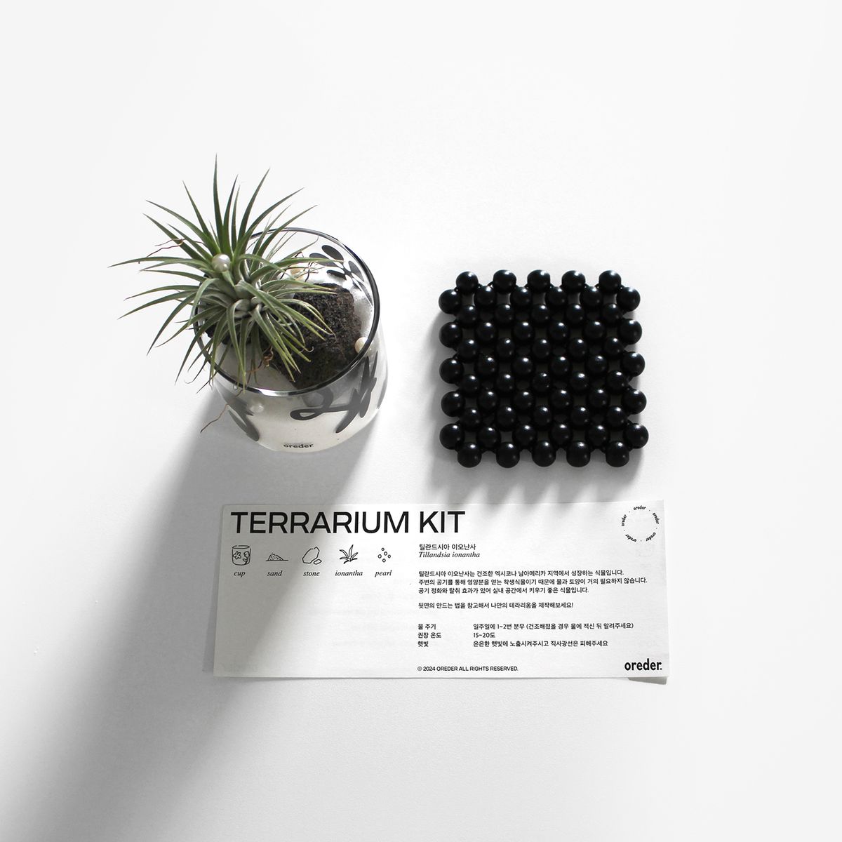 오레더(OREDER) 테라리움키트 IONANTHA