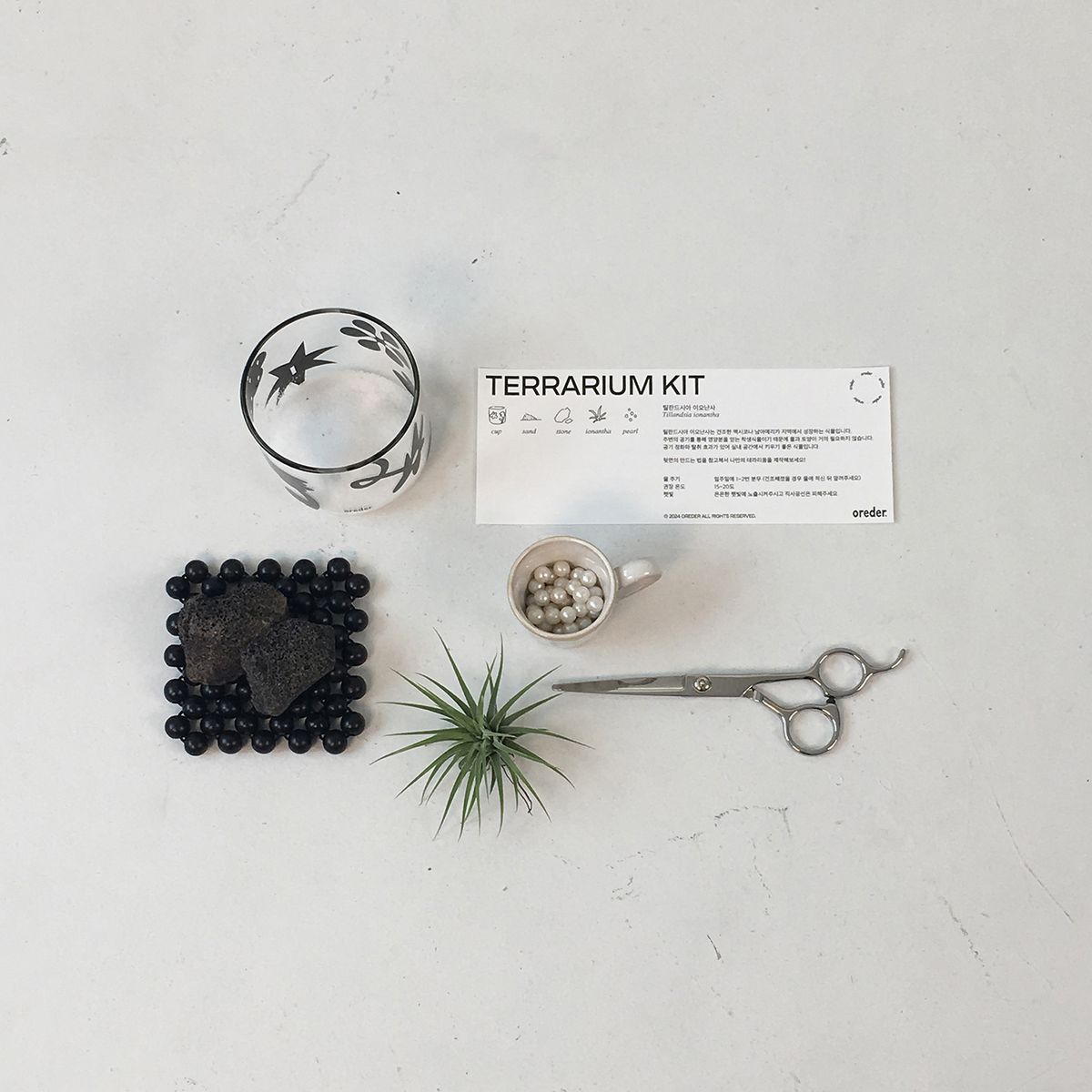 오레더(OREDER) 테라리움키트 IONANTHA