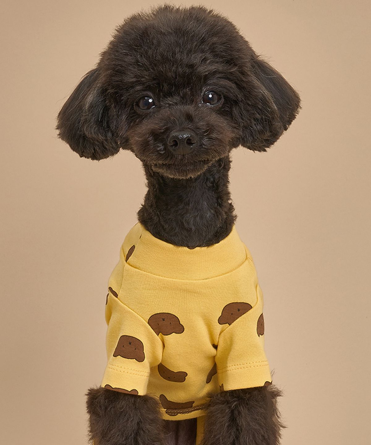 도그아이(DOGI) 강아지 베어베어 올인원 옐로우