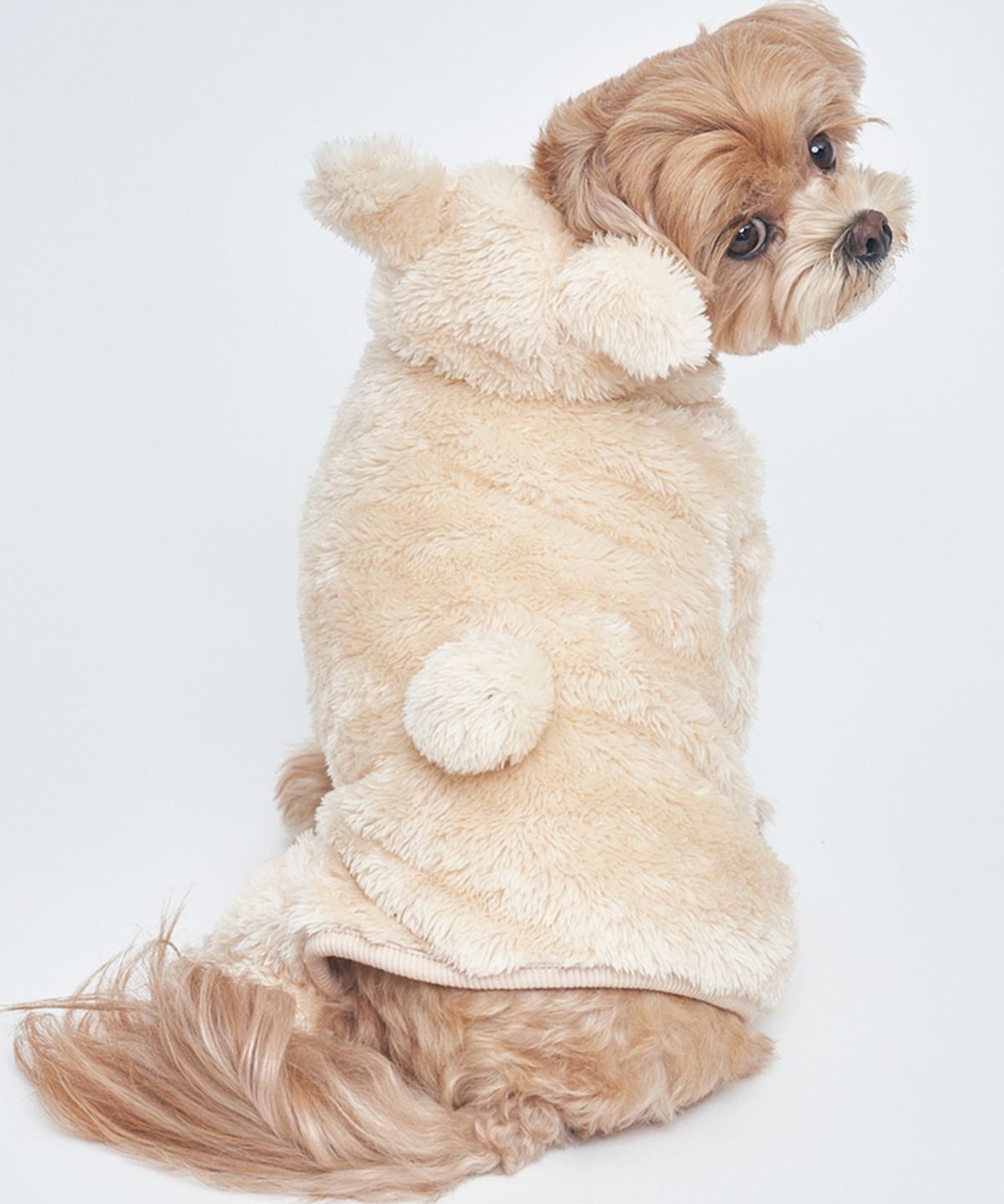 도그아이(DOGI) 강아지 곰후드 올인원 베이지
