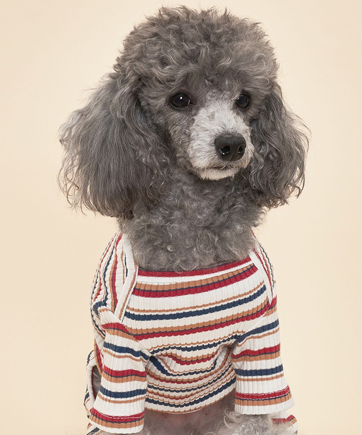 도그아이(DOGI) 강아지 믹스 골지 올인원 레드