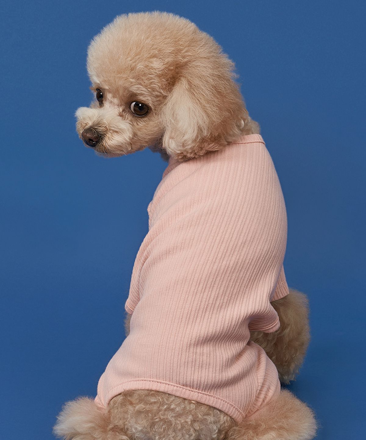 도그아이(DOGI) 강아지 파스텔 골지 올인원 핑크