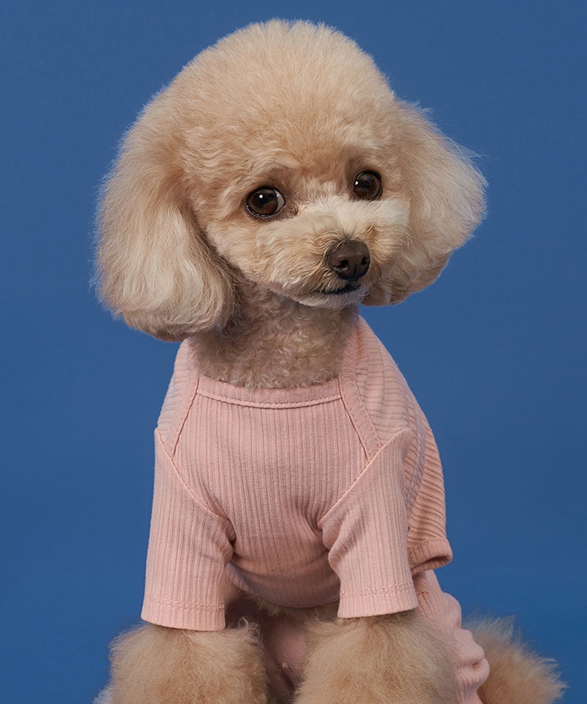 도그아이(DOGI) 강아지 파스텔 골지 올인원 핑크
