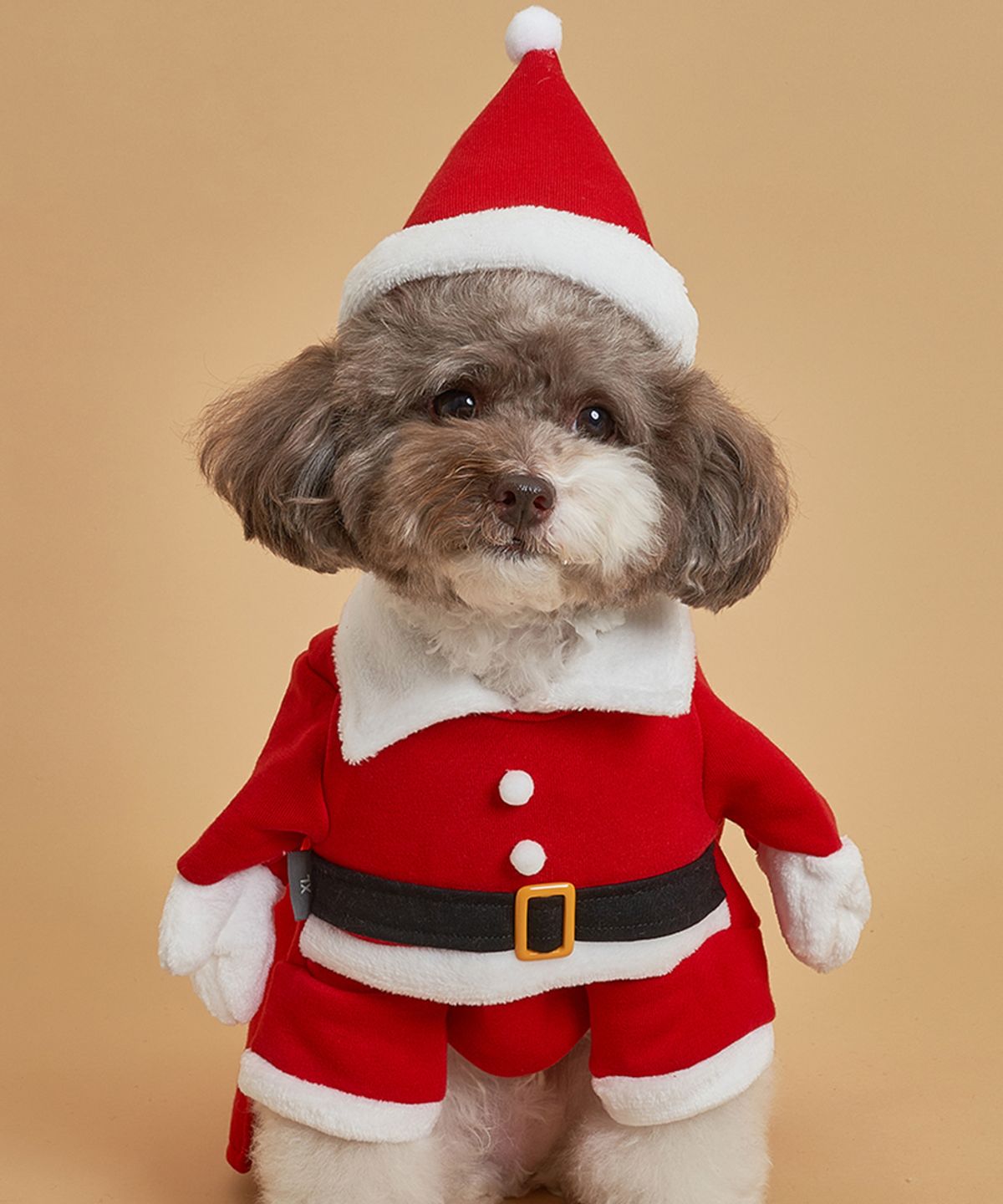 도그아이(DOGI) 강아지 코스튬 3D산타 티셔츠