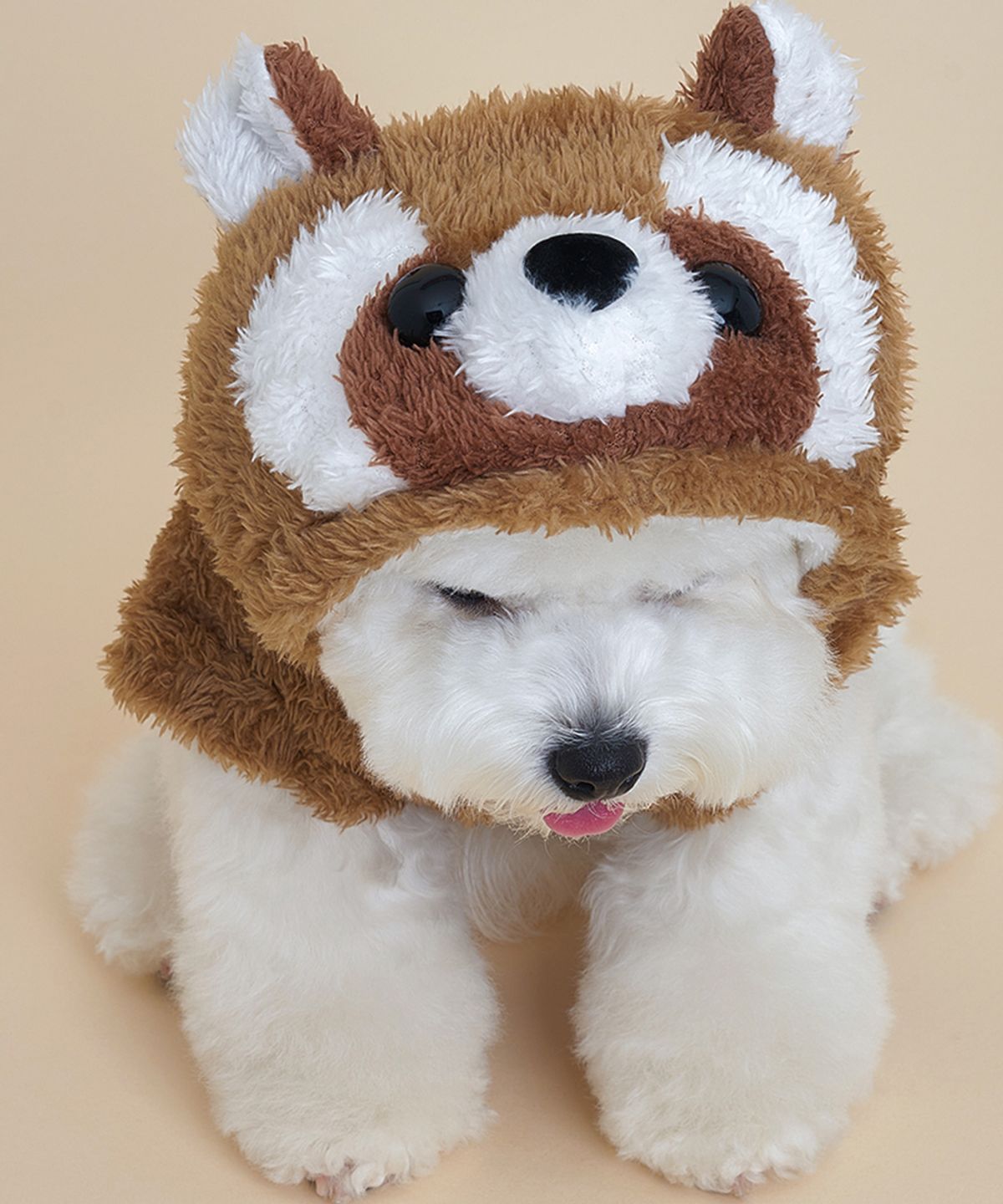 도그아이(DOGI) 강아지 코스튬 너구리 후드