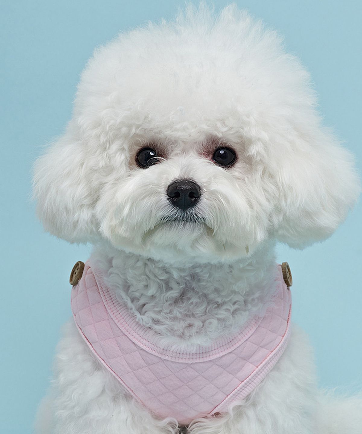 도그아이(DOGI) 강아지 겨울옷 누빔 버튼 조끼 핑크