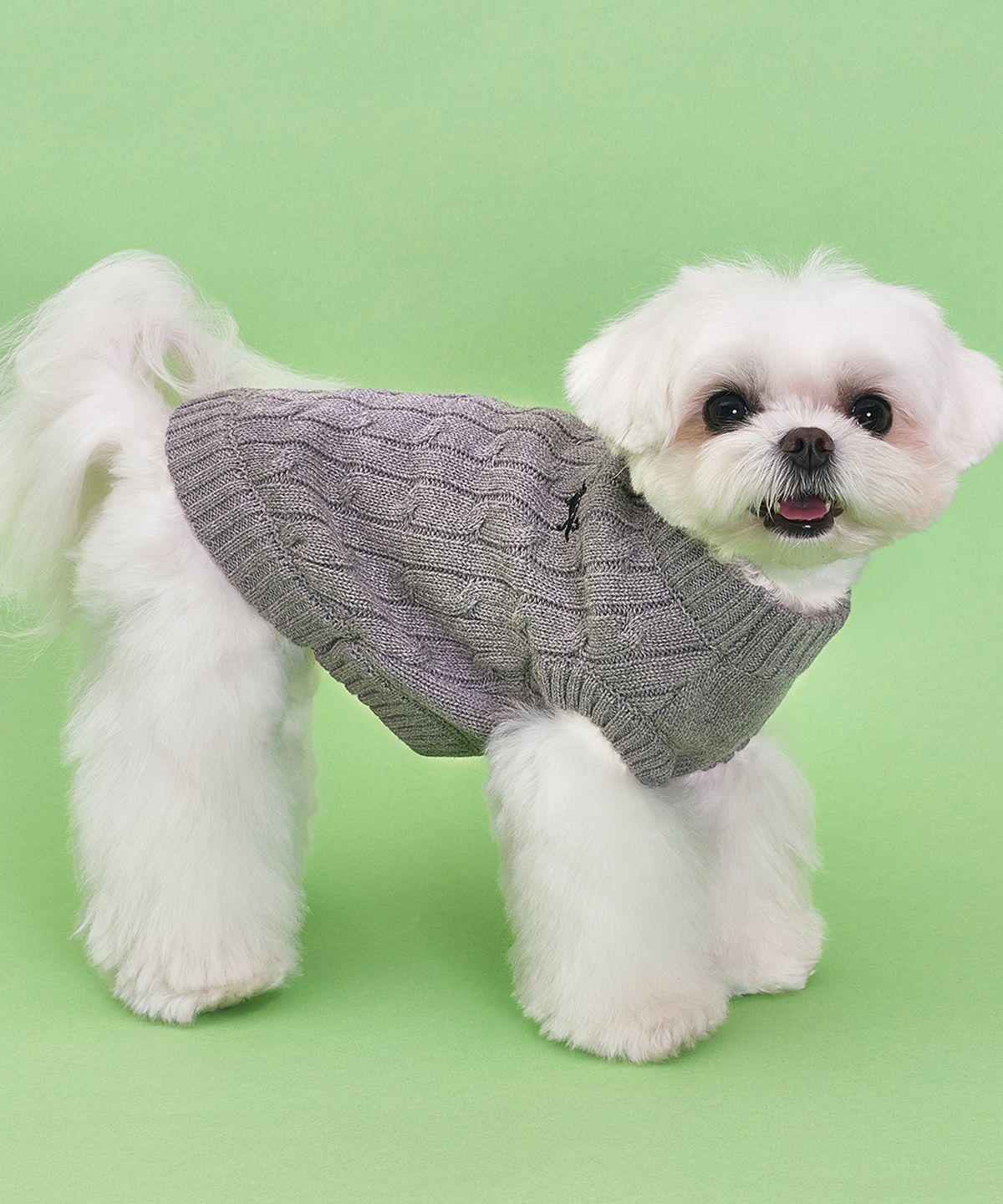 도그아이(DOGI) 강아지 실내복 순면 니트 그레이
