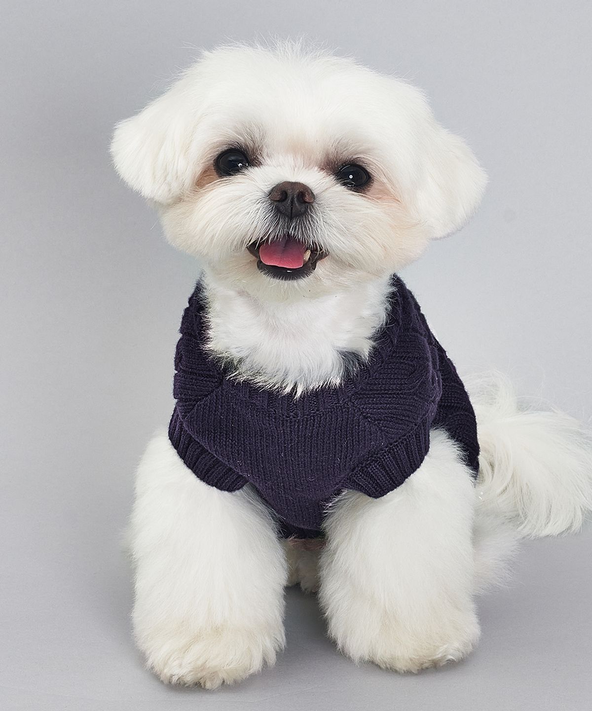 도그아이(DOGI) 강아지 실내복 순면 니트 네이비