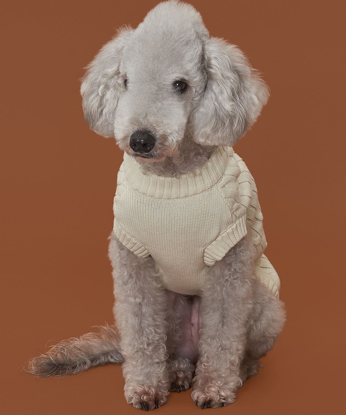 도그아이(DOGI) 강아지 실내복 순면 니트 아이보리