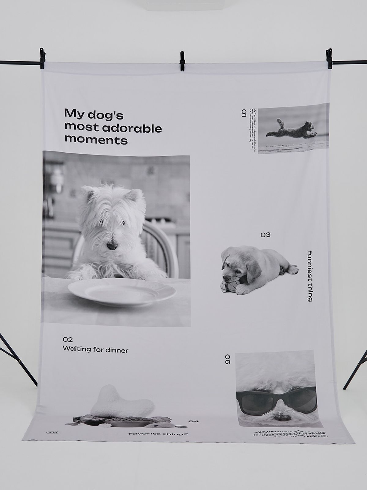 뷔오디엠(VODM) Collage dog 포인트 커튼